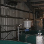 white sturgeon conservation center